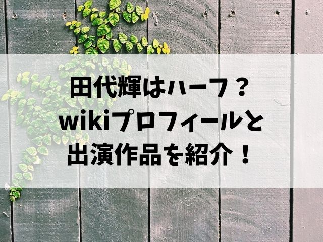 田代輝はハーフ？wikiプロフィールと出演作品を紹介！
