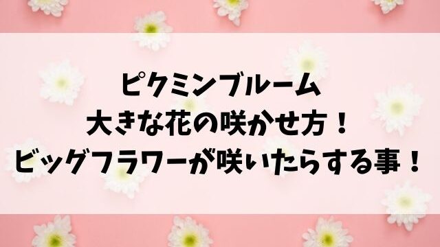 ピクミンブルーム大きな花が咲いたら ビッグフラワーの種類や咲かせ方も紹介 Tenエンタメ情報局